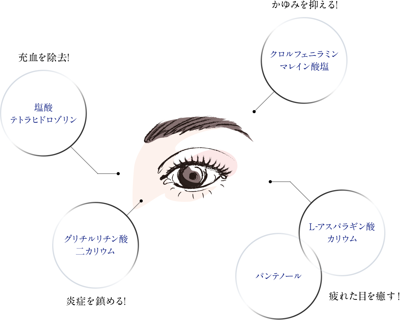  Neo Química デキスクロルフェニラミン マレイン酸塩 リーフレット